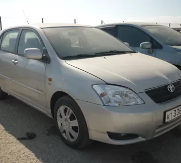 Купить Toyota Corolla 1600 см3 АКПП (165 л.с.) Бензиновый в Новороссийск: цвет светло серый Хетчбэк 2003 года по цене 350000 рублей, объявление №217 на сайте Авторынок23