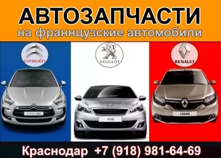 FRANCE SERVICE запчасти на французские авто Краснодар