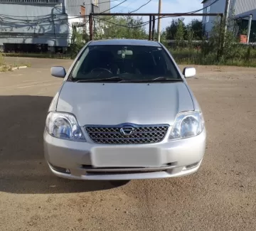 Купить Toyota Corolla Runx 1800 см3 АКПП (190 л.с.) Бензин инжектор в Абинск: цвет Серый Хетчбэк 2002 года по цене 200000 рублей, объявление №20290 на сайте Авторынок23 Купить Toyota Corolla Runx 1800 см3 АКПП (190 л.с.) Бензин инжектор в Абинск: цвет Серый Хетчбэк 2002 года по цене 200000 рублей, объявление №20290 на сайте Авторынок23