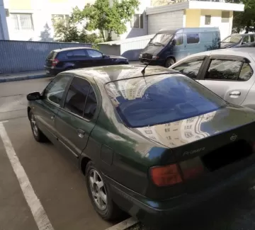 Купить Nissan Primera 1600 см3 МКПП (90 л.с.) Бензин инжектор в Посёлок Ильский: цвет Зелёный Седан 1998 года по цене 235000 рублей, объявление №19620 на сайте Авторынок23