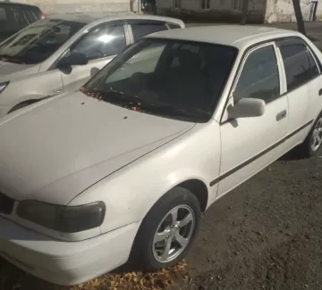 Купить Toyota Corolla 1500 см3 АКПП (105 л.с.) Бензин инжектор в Абинск: цвет Белый Седан 1998 года по цене 205000 рублей, объявление №20006 на сайте Авторынок23 Купить Toyota Corolla 1500 см3 АКПП (105 л.с.) Бензин инжектор в Абинск: цвет Белый Седан 1998 года по цене 205000 рублей, объявление №20006 на сайте Авторынок23