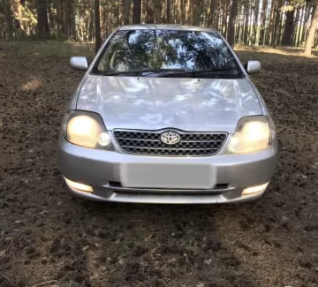 Купить Toyota Corolla Runx 1800 см3 АКПП (190000 л.с.) Бензин инжектор в Горное Лоо: цвет Серый Хетчбэк 2002 года по цене 215000 рублей, объявление №20314 на сайте Авторынок23 Купить Toyota Corolla Runx 1800 см3 АКПП (190000 л.с.) Бензин инжектор в Горное Лоо: цвет Серый Хетчбэк 2002 года по цене 215000 рублей, объявление №20314 на сайте Авторынок23