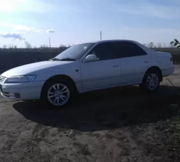 Купить Toyota Camry Cracia 2200 см3 АКПП (140 л.с.) Бензин инжектор в Станица Васюринская : цвет Белый Седан 2000 года по цене 530000 рублей, объявление №19970 на сайте Авторынок23 Купить Toyota Camry Cracia 2200 см3 АКПП (140 л.с.) Бензин инжектор в Станица Васюринская : цвет Белый Седан 2000 года по цене 530000 рублей, объявление №19970 на сайте Авторынок23