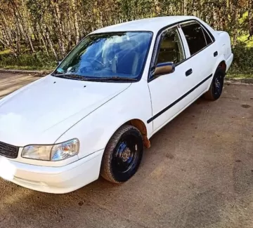 Купить Toyota Corolla 1400 см3 АКПП (85 л.с.) Бензин инжектор в Станица Северский : цвет Белый Седан 2000 года по цене 255000 рублей, объявление №19873 на сайте Авторынок23 Купить Toyota Corolla 1400 см3 АКПП (85 л.с.) Бензин инжектор в Станица Северский : цвет Белый Седан 2000 года по цене 255000 рублей, объявление №19873 на сайте Авторынок23