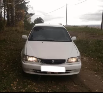 Купить Toyota Corolla 1500 см3 АКПП (105 л.с.) Бензин инжектор в Гостагаевская : цвет Белый Седан 1998 года по цене 195000 рублей, объявление №20029 на сайте Авторынок23 Купить Toyota Corolla 1500 см3 АКПП (105 л.с.) Бензин инжектор в Гостагаевская : цвет Белый Седан 1998 года по цене 195000 рублей, объявление №20029 на сайте Авторынок23