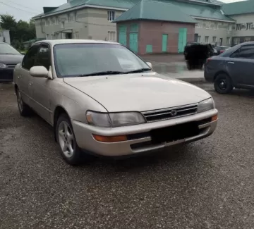 Купить Toyota Corolla 1500 см3 АКПП (75 л.с.) Бензин инжектор в Горное ЛОО: цвет Золотой Седан 1991 года по цене 230000 рублей, объявление №19866 на сайте Авторынок23 Купить Toyota Corolla 1500 см3 АКПП (75 л.с.) Бензин инжектор в Горное ЛОО: цвет Золотой Седан 1991 года по цене 230000 рублей, объявление №19866 на сайте Авторынок23