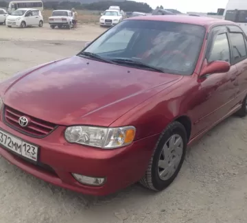 Купить Toyota Corolla 1800 см3 АКПП (110 л.с.) Бензин инжектор в Новороссийск: цвет Красный Седан 2001 года по цене 230000 рублей, объявление №1638 на сайте Авторынок23