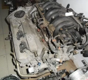 Двигатель с навесным в разбор NISSAN CEFIRO • MAXIMA VQ20DE Анапа Двигатель с навесным в разбор NISSAN CEFIRO • MAXIMA VQ20DE Анапа
