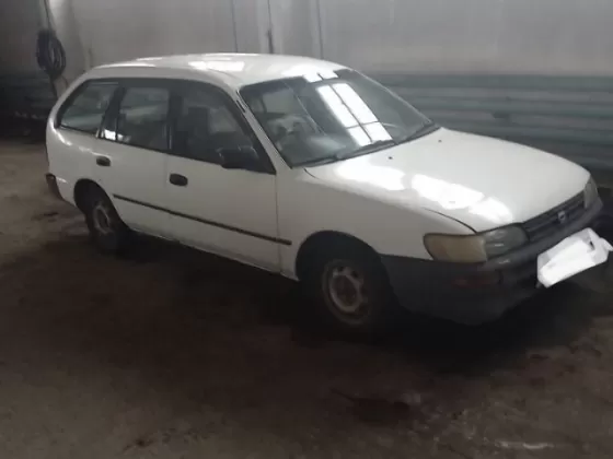 Купить Toyota COROLLA 1974 см3 АКПП (73 л.с.) Дизельный в Полтавская : цвет Белый Универсал 1997 года по цене 320000 рублей, объявление №21557 на сайте Авторынок23