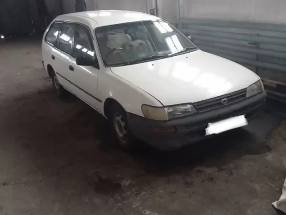 Купить Toyota COROLLA 1974 см3 АКПП (73 л.с.) Дизельный в Полтавская : цвет Белый Универсал 1997 года по цене 320000 рублей, объявление №21557 на сайте Авторынок23