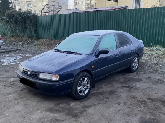 Купить Nissan Primera '1998 АКПП (1998/115 л.с.) Бензин инжектор Новороссийск цвет Синий Седан по цене 499000 рублей, объявление №27446 на сайте Авторынок23