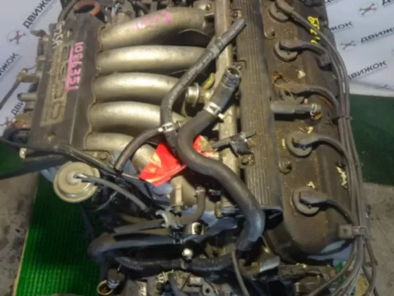 Контрактный двигатель G25A Honda Краснодар