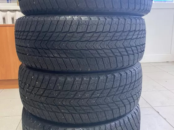 Nexen Winguard Ice Plus 205/55 R16 91T