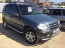 Купить Chevrolet Niva 1700 см3 МКПП (80 л.с.) Бензин инжектор в Новороссийск: цвет серый Внедорожник 2008 года по цене 290000 рублей, объявление №1591 на сайте Авторынок23