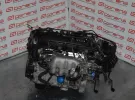 Контрактный двигатель HONDA ODYSSEY RA6 F23A Ростов
