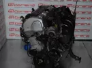Контрактный двигатель HONDA STREAM RN3 K20A Ростов