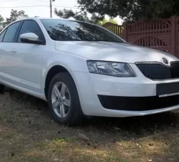 Купить Skoda Octavia 3 1600 см3 АКПП (110 л.с.) Бензин инжектор в Кропоткин: цвет белый Седан 2014 года по цене 880000 рублей, объявление №4720 на сайте Авторынок23 Купить Skoda Octavia 3 1600 см3 АКПП (110 л.с.) Бензин инжектор в Кропоткин: цвет белый Седан 2014 года по цене 880000 рублей, объявление №4720 на сайте Авторынок23