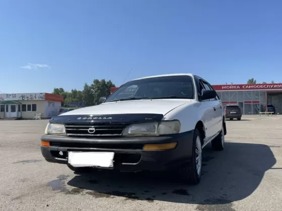 Купить Toyota Corolla 1500 см3 АКПП (100 л.с.) Бензин инжектор в Краснодар: цвет Белый Универсал 1996 года по цене 315000 рублей, объявление №26784 на сайте Авторынок23