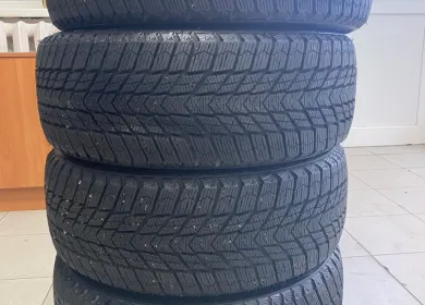Nexen Winguard Ice Plus 205/55 R16 91T Nexen Winguard Ice Plus 205/55 R16 91T